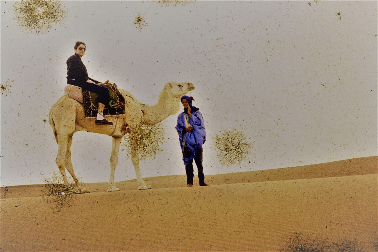 Camel ride in the Sahara
